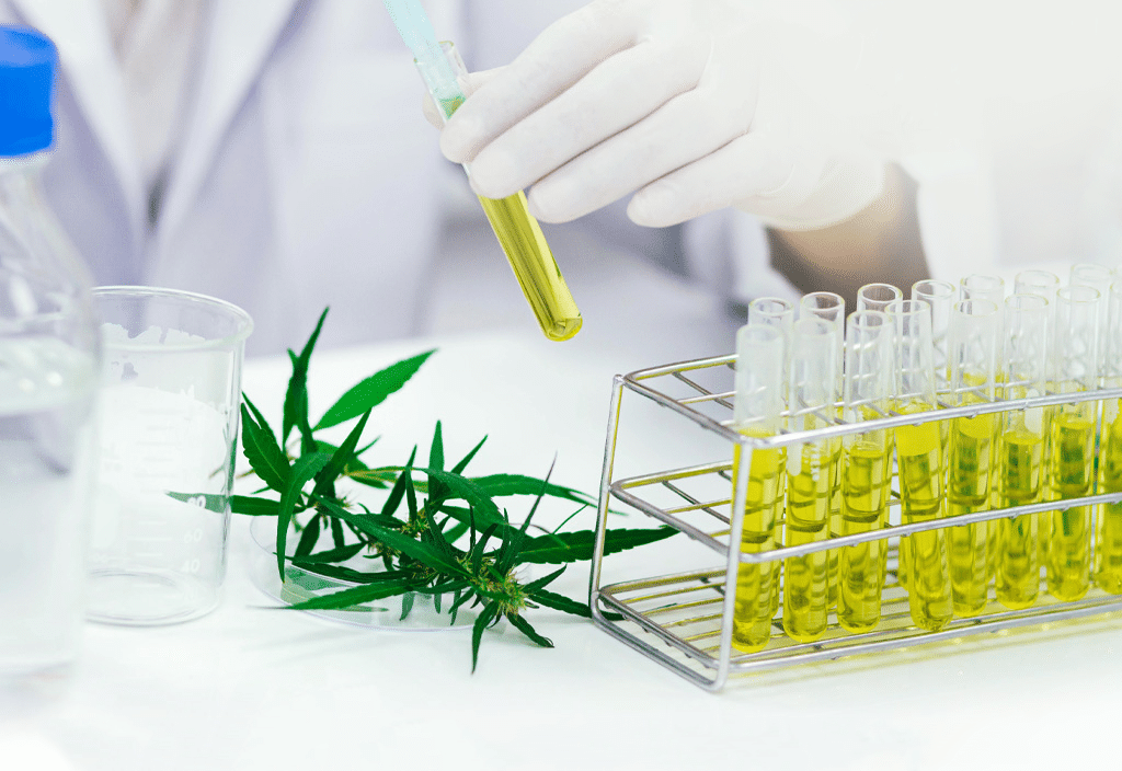 How is CBD testing carried out?